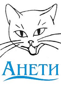 Интернет агенство "Анети"